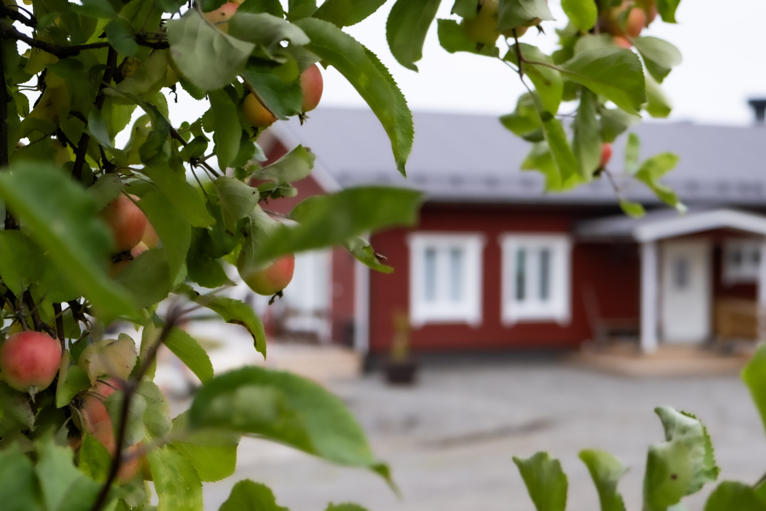 Pihapiirin tunnelmaa Kontiolahdella – Työtahti koulutus- ja kokoustila