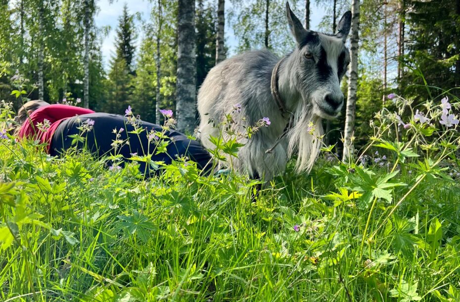 Tyhy ja yhteinen kokemustieto – miksi yhteinen kokemus tekee työyhteisölle sen, mitä pelkkä johtaminen ei voi